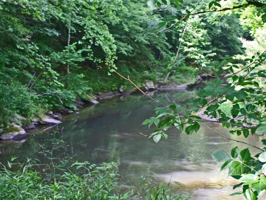 304 Hemlock Cove, Ball Ground, GA 30107