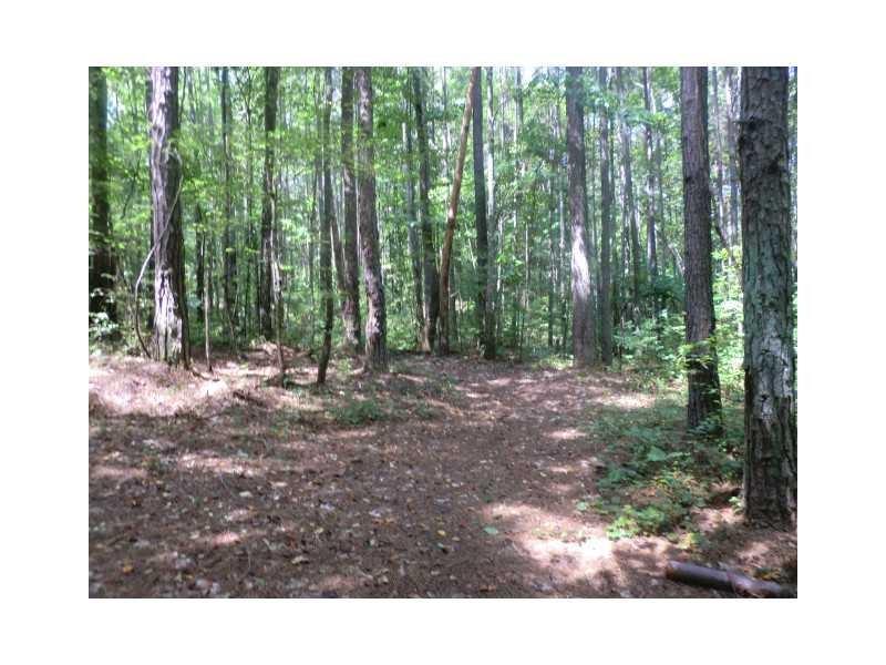 000 James Dupree Ct., Acworth, GA 30102