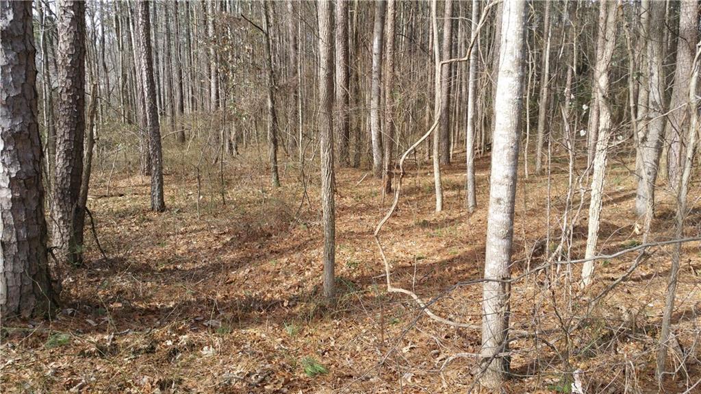 6017 Kemp Dr., Acworth, GA 30102