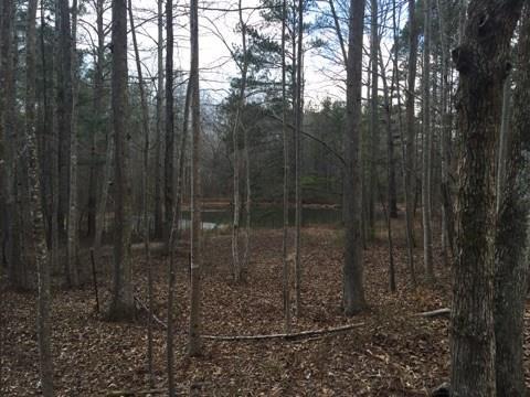 Bob Fleming Rd., Marietta, GA 30064
