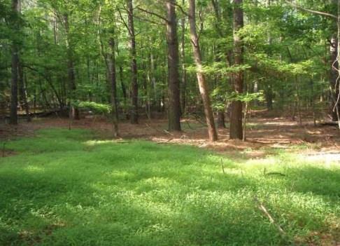 Upper Wooten Rd., Chattahoochee Hills, GA 30268
