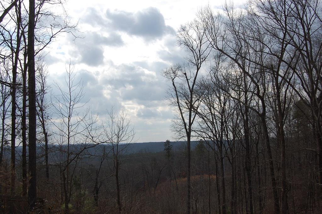 1320 Dabbs Bridge Rd., Dallas, GA 30132