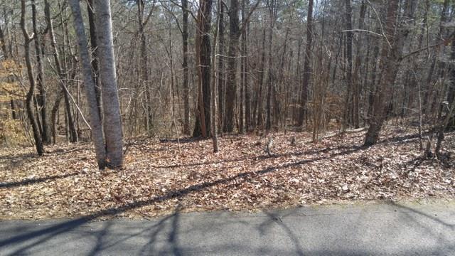 Lot 4 Hickory Ridge Ct., Dawsonville, GA 30534