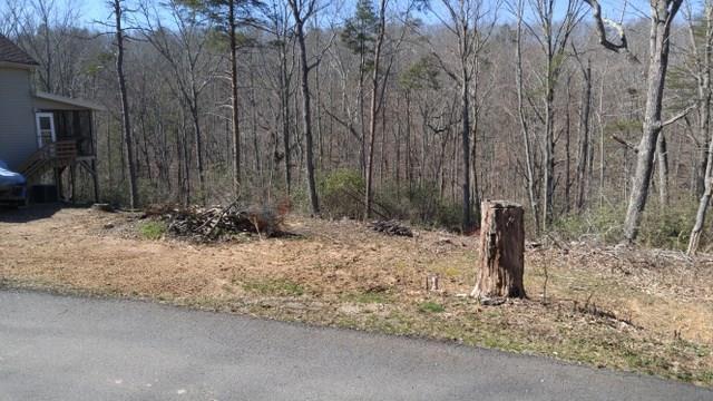 Lot 8 Hickory Ridge Ct., Dawsonville, GA 30534