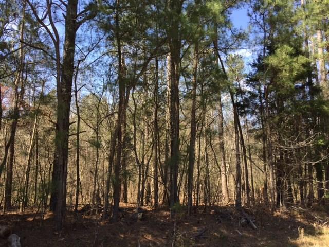 0000 N Snow Springs Rd., Adairsville, GA 30103