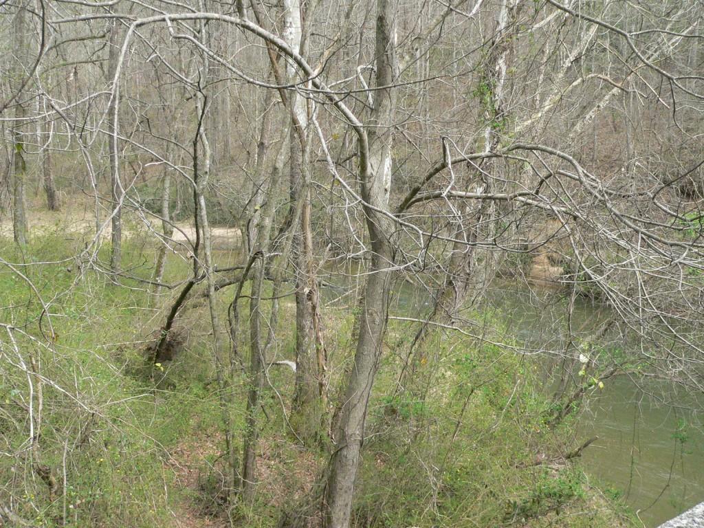 00 Highway 136, Dawsonville, GA 30534