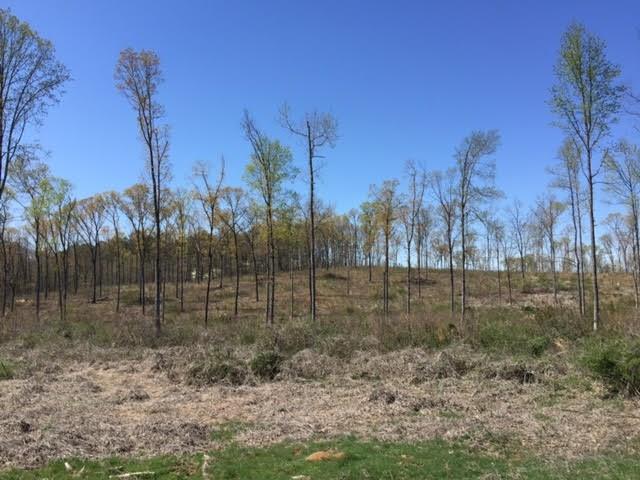 000 Pleasant Valley Rd., Adairsville, GA 30103