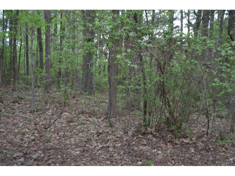 1858 W Elmwood Cir., Snellville, GA 30078