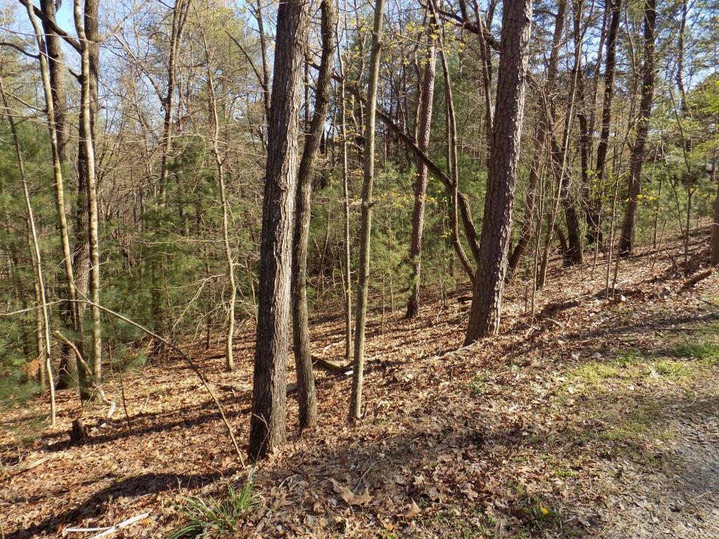 2 Lots Ridgecrest Cir., Ellijay, GA 30540
