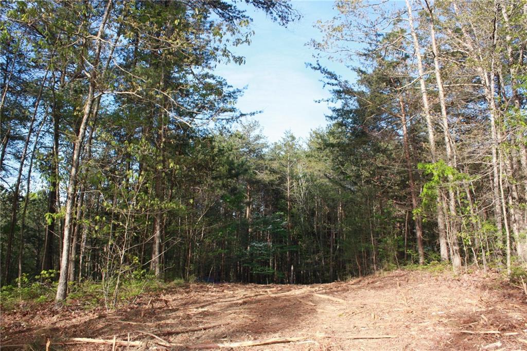 Fox Run Ct., Jasper, GA 30534