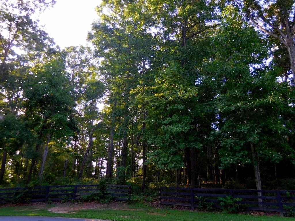 [Address Hidden by Seller], Canton, GA 30115