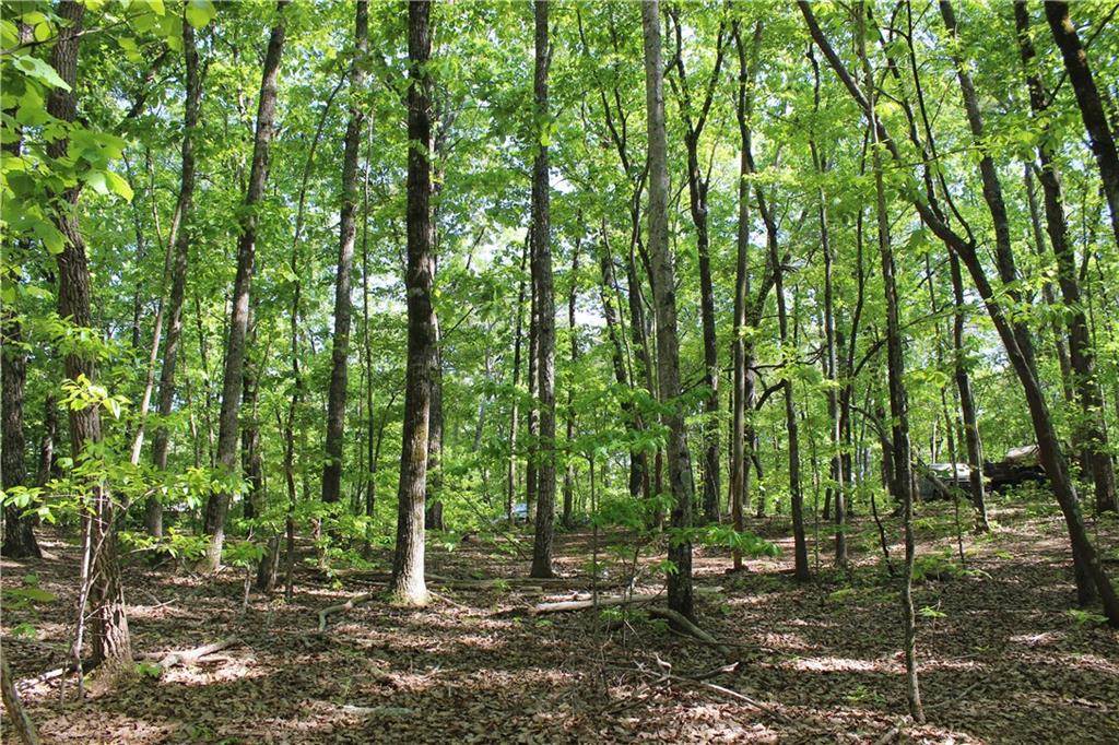 John Perry Rd., Dawsonville, GA 30534