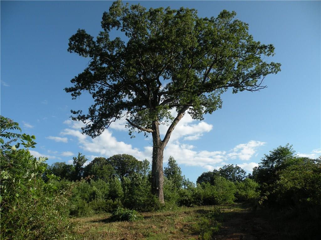 2984 Gum Springs Church Rd., Jefferson, GA 30549