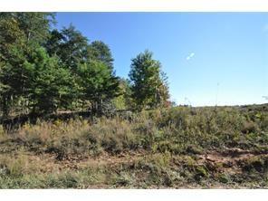 Cherry Grove Rd., Ball Ground, GA 30107