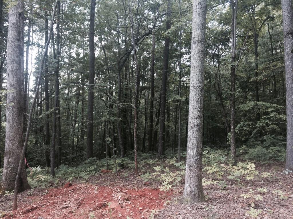 175 Sardis Creek Dr., Canton, GA 30114