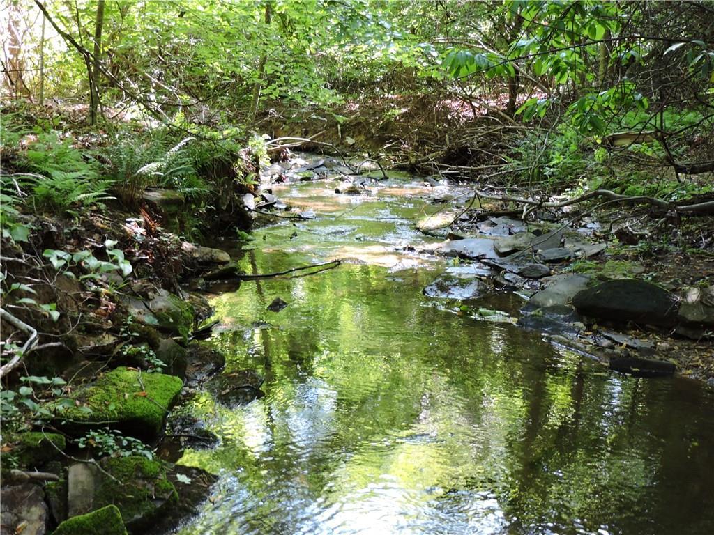 63 ac. Geirrein Rd., Dawsonville, GA 30534