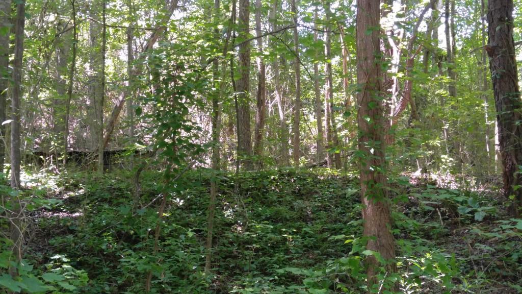Sinyard Cir., Hiram, GA 30141