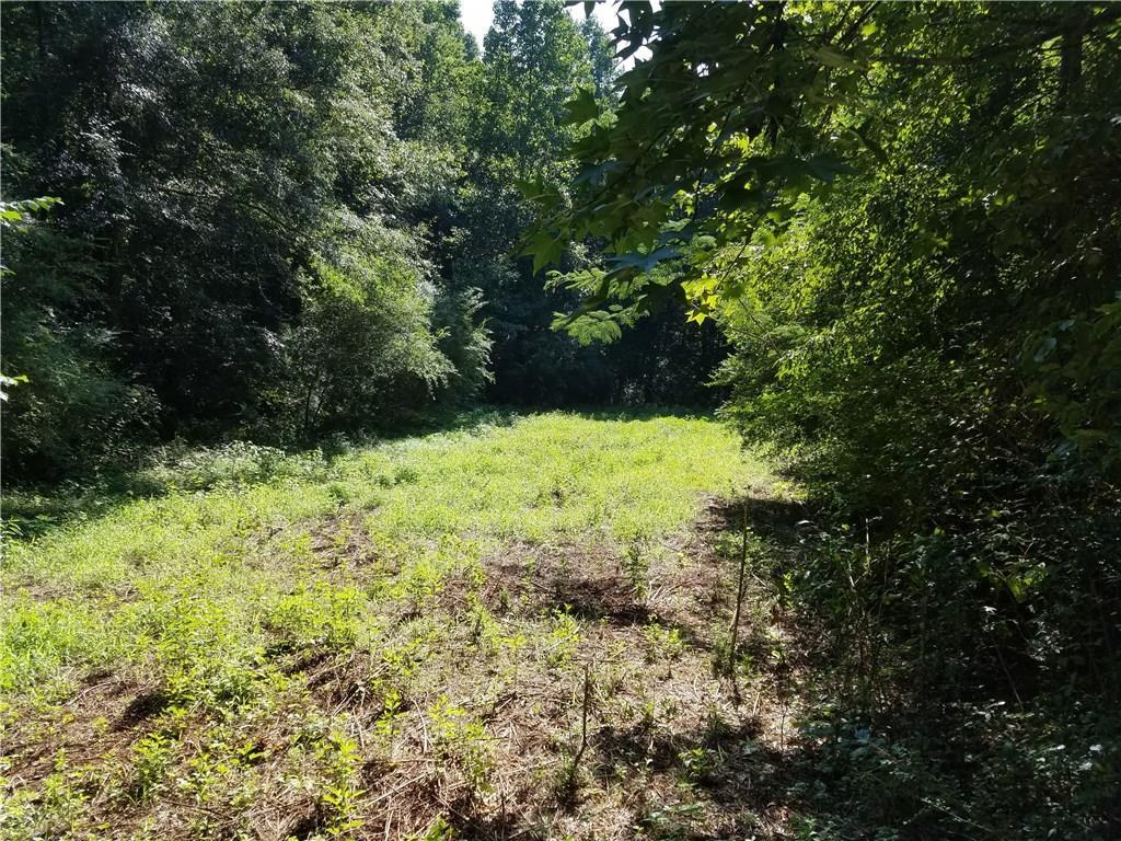 Lot 1 Little Mill Rd., Cumming, GA 30041