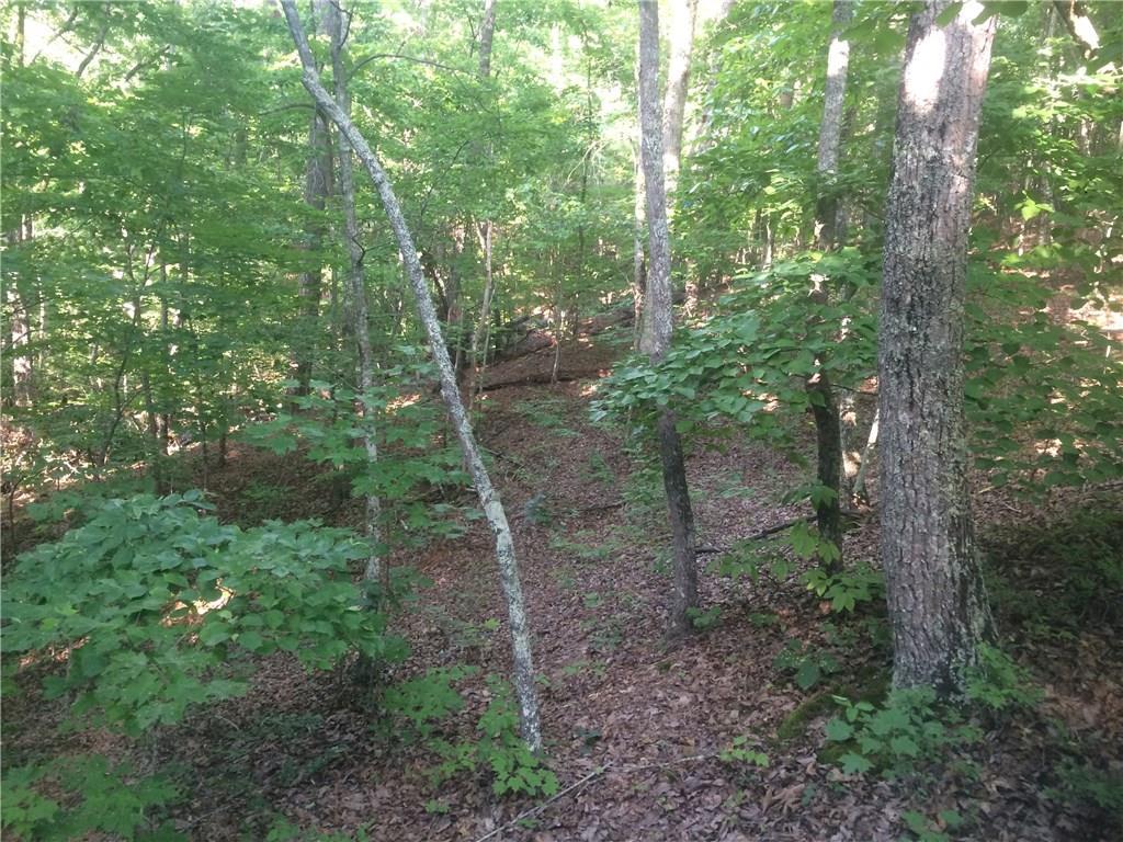 80 Brookstone Ct., Talking Rock, GA 30175