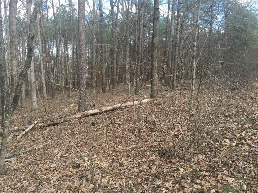 Bass Ln., Cumming, GA 30040