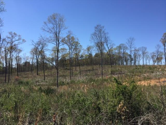 0000 Pleasant Valley Rd., Adairsville, GA 30103