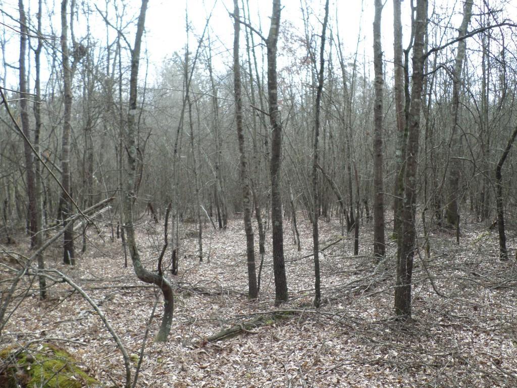 Hearn Rd., Monroe, GA 30656