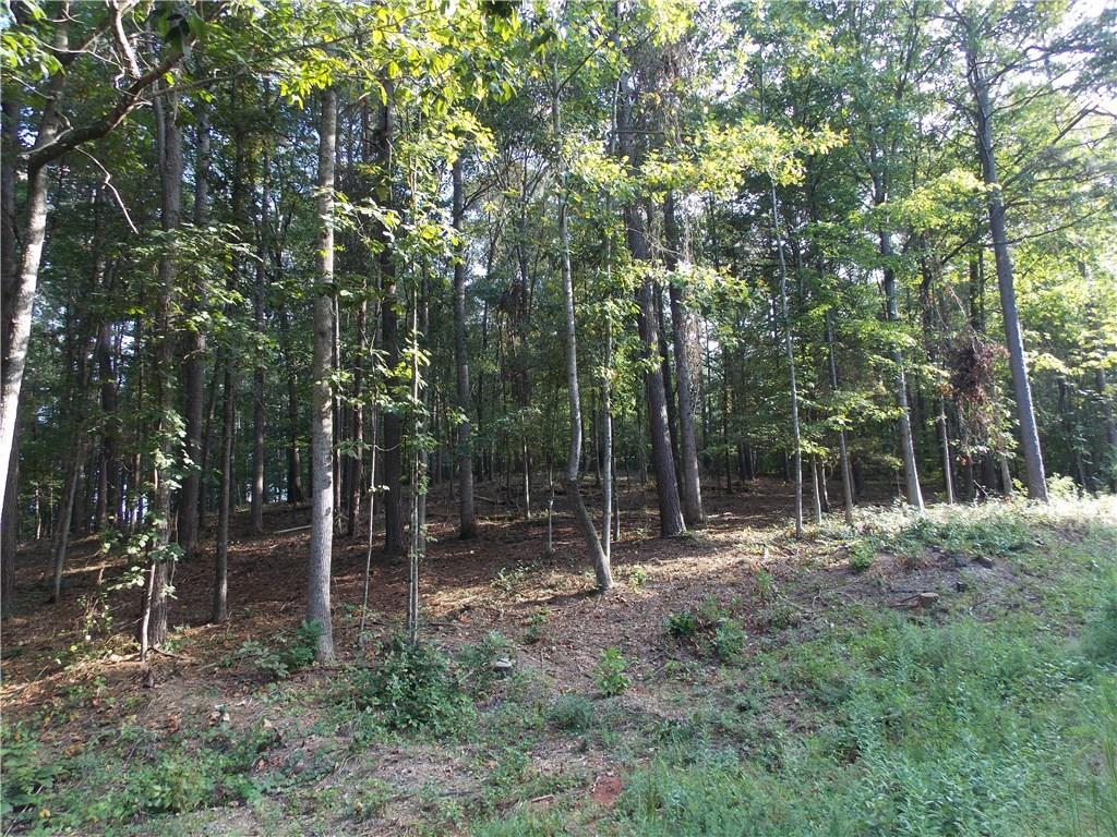 Lot 6 Brook Hollow Lake Tr., Cumming, GA 30028