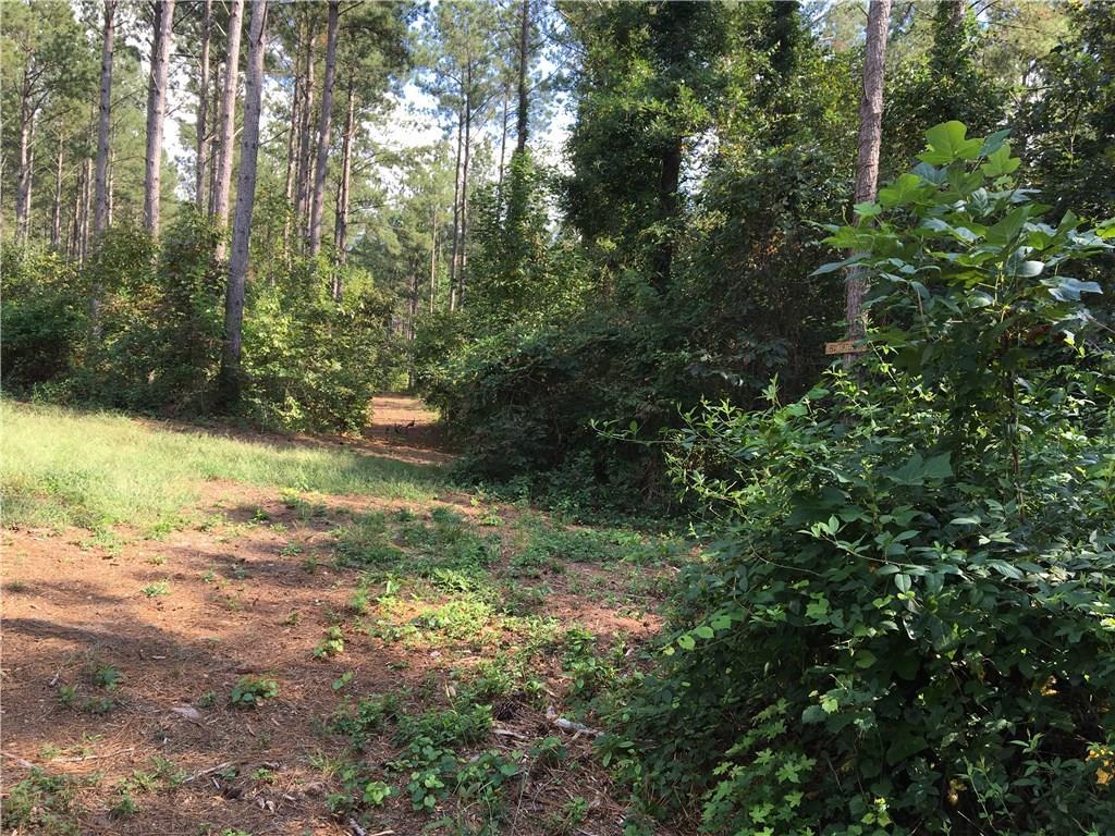 Reavis Mountain Rd., Ball Ground, GA 30107