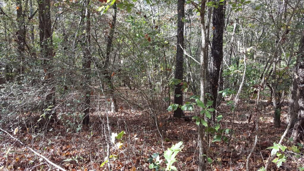 Heaven Cir., Jefferson, GA 30549