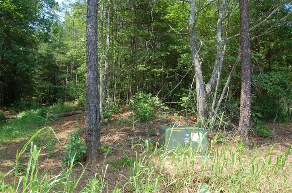 110 Mt Carmel Church Ct., Canton, GA 30114