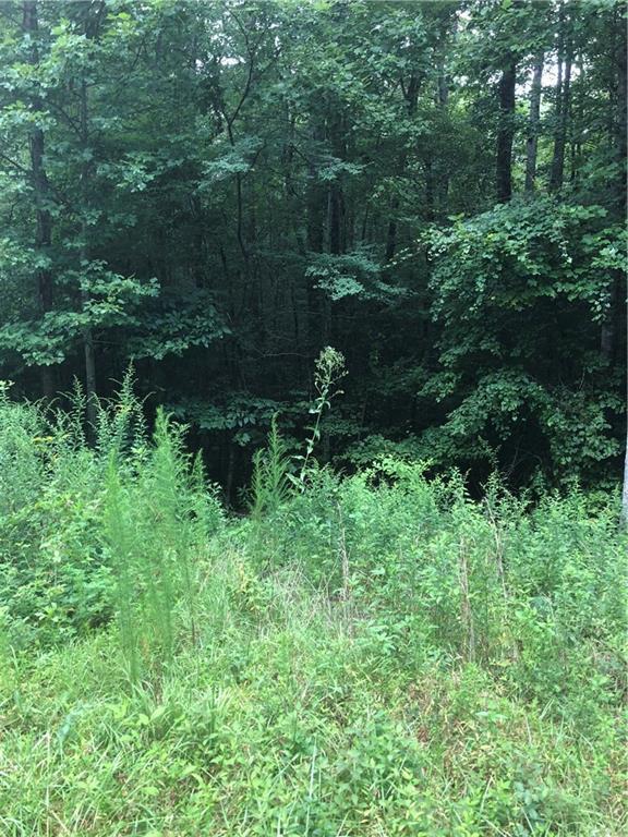 Chopped Oak Rd., East Ellijay, GA 30540