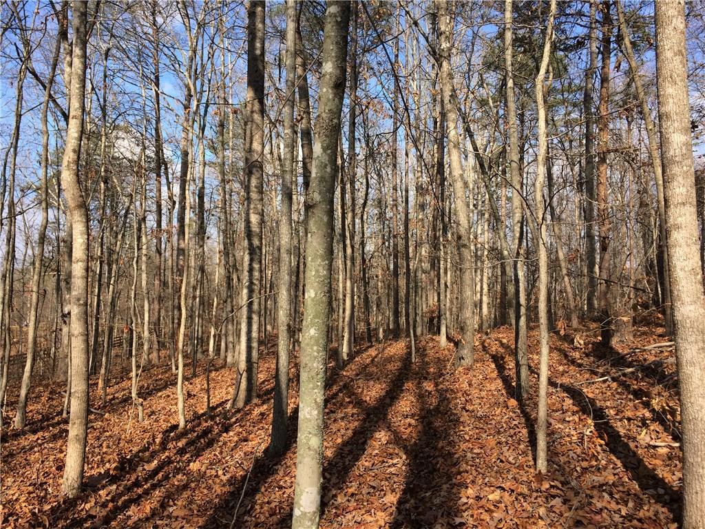 Hendrix Rd., Cumming, GA 30040