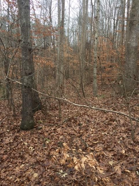 00 Daily Rd., Alto, GA 30510