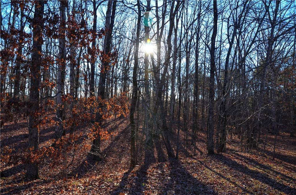 00 Trent Tr., Cleveland, GA 30528