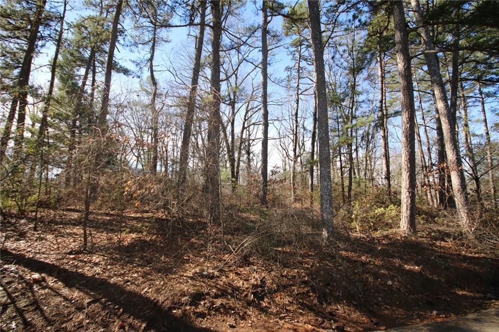 865 Tanner Rd., Dacula, GA 30019