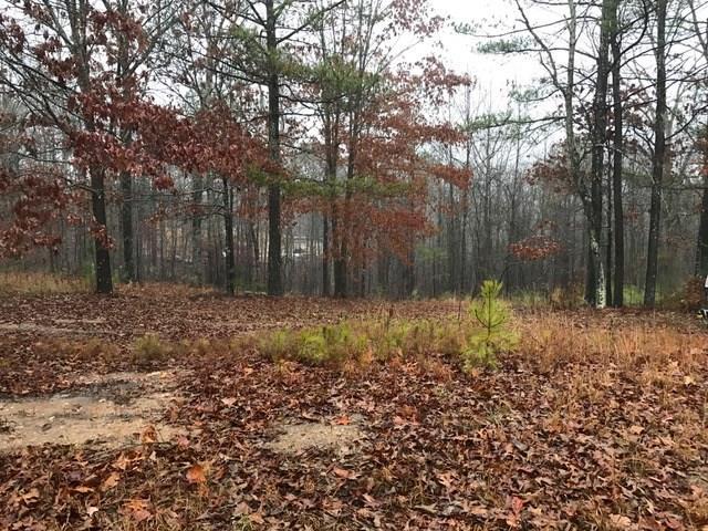 161 Roberts Way, Canton, GA 30114