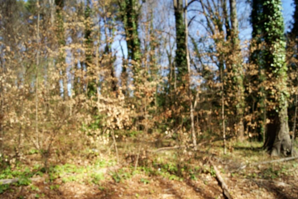 3612 Rockbridge Rd., Stone Mountain, GA 30083