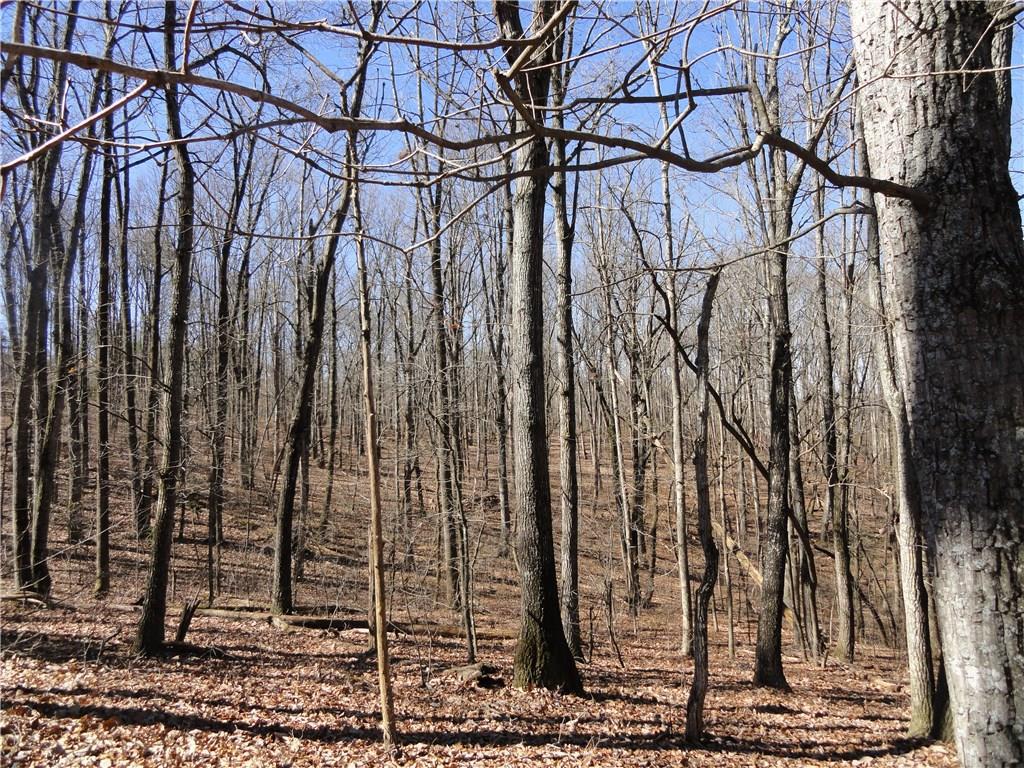 1 Pea Ridge Rd., Gainesville, GA 30506