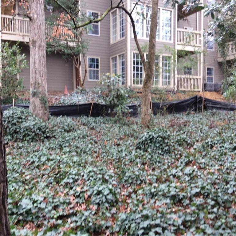 806 Country Park Dr., Smyrna, GA 30080