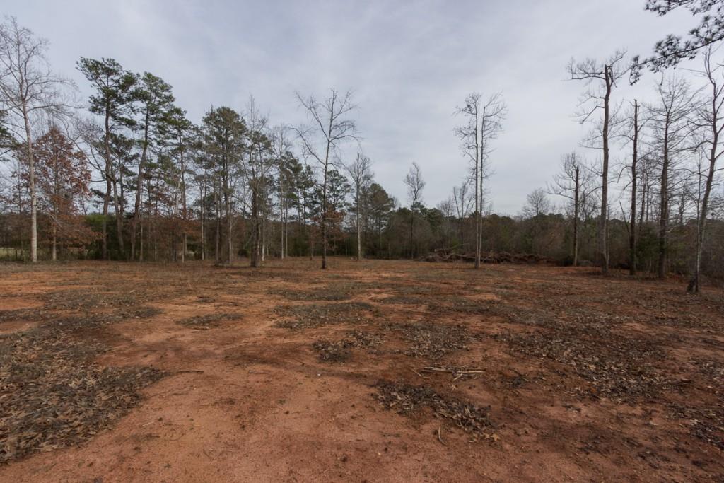 405 Willow Springs Ln., Social Circle, GA 30025