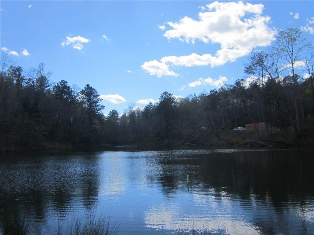 780 Glen Wilkie Tr., Ball Ground, GA 30107