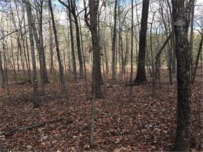 Lot 18 Yellow Creek Rd., Ball Ground, GA 30107