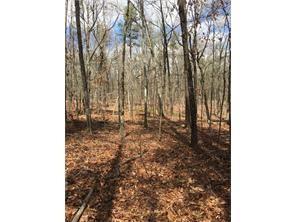Lot 19 Yellow Creek Rd., Ball Ground, GA 30107