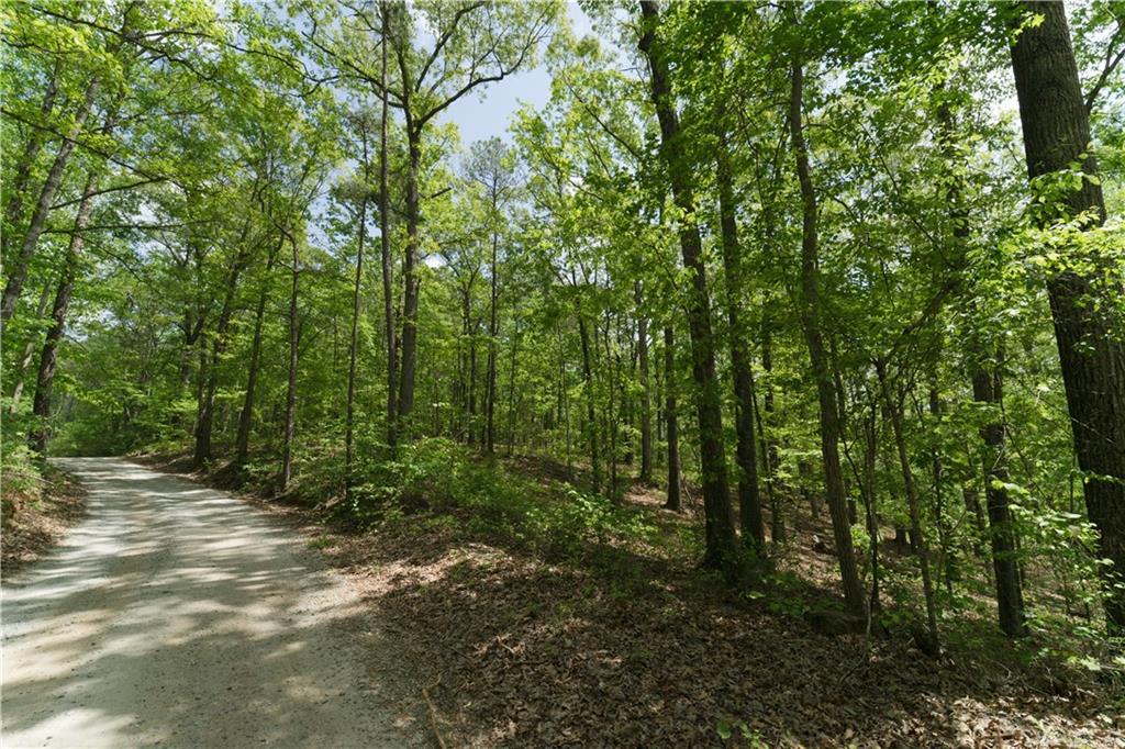 7625 Hopkins Rd., Chattahoochee Hills, GA 30268