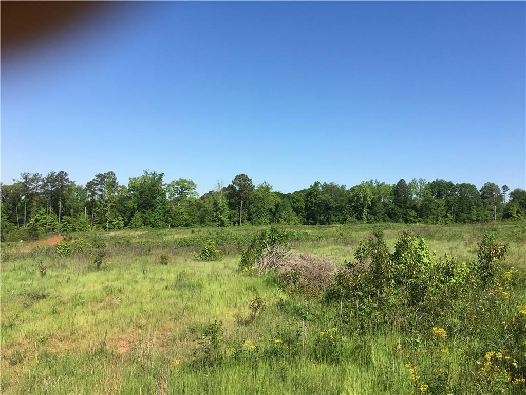 Hwy 124, Jefferson, GA 30549