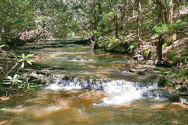 140ac Rider Rd., Dawsonville, GA 30534