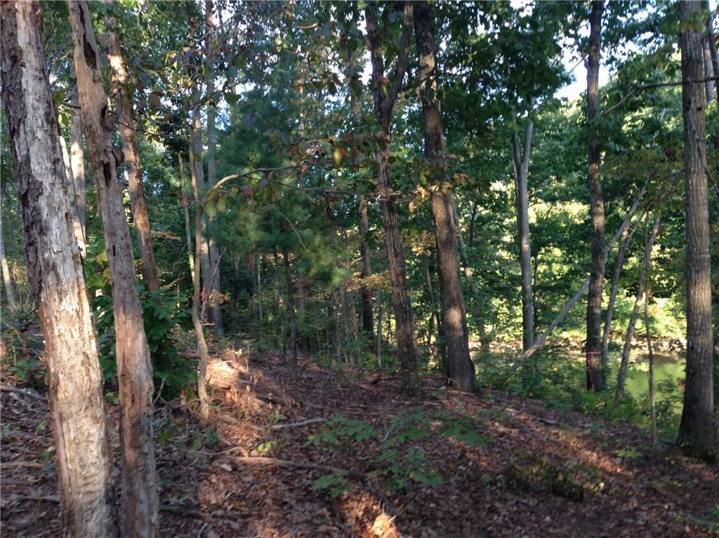 00 Tanners Mill Rd., Braselton, GA 30517