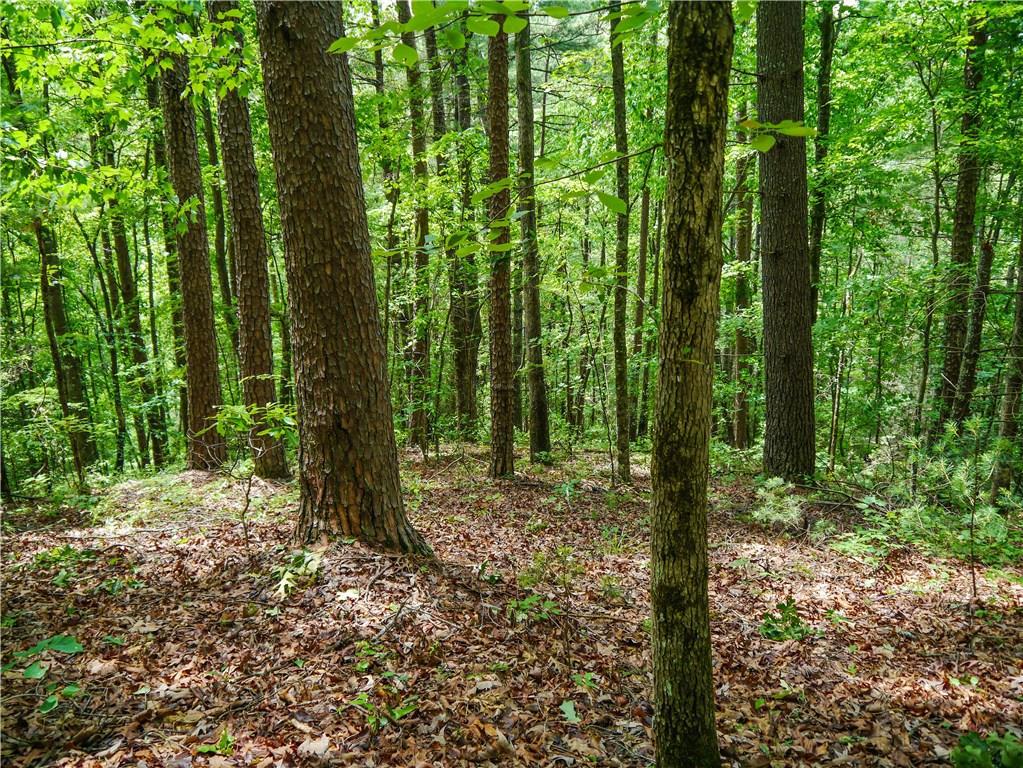 Hubb's Dr., Dahlonega, GA 30533