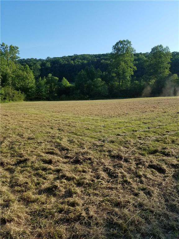 00 Porter Springs Rd., Lumpkin, GA 30533