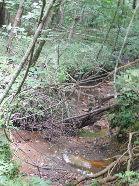 6.97 Chestatee River Estates, Dahlonega, GA 30533